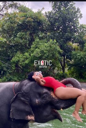 Shamii