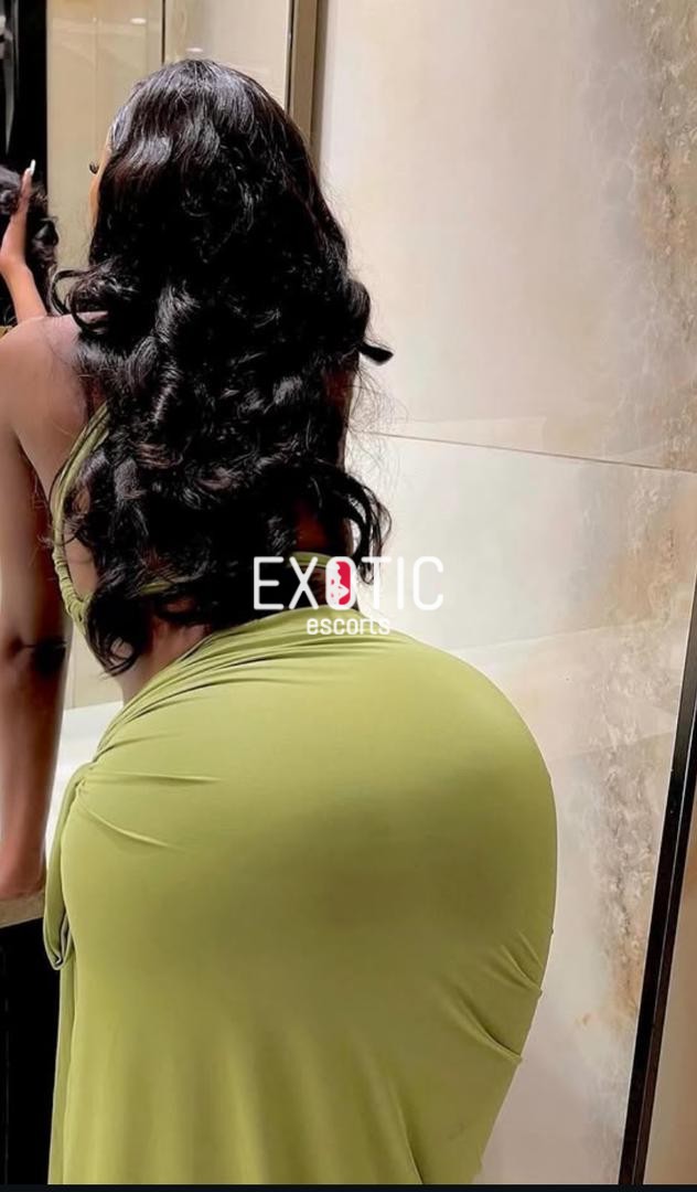 17602617779819.mp4